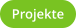 Projekte
